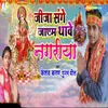 About Jija Sanghe Mela Song